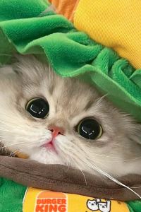 Ruidede 如家飯店·neo（珠海拱北口岸輕軌總站店）優惠