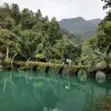 Avatar 3