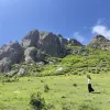 Avatar 1