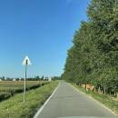 訪客用戶