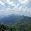 Avatar 1
