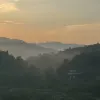 Avatar 1