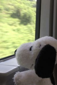 Aowupimengwang 城市花園大酒店優惠