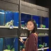 Avatar 1