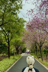 এ¨naishinaiteʕ•̫͡•ʔ 深圳庭宿公寓（星河世紀大廈店）優惠