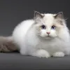 Avatar 3