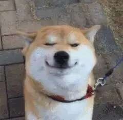 head-img