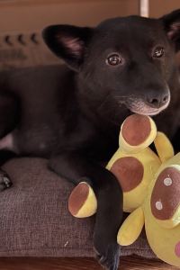 Yanlianghuolang 曼悅名宿觀景客棧（麗江古城大水車店）優惠