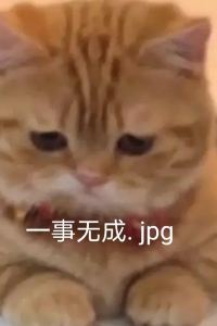 ゲスト ドシー恵比寿 クーポン
