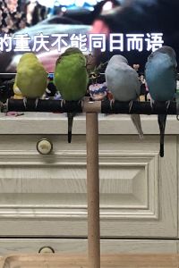 Dashidaixiaoshike 古北水鎮君約客棧優惠