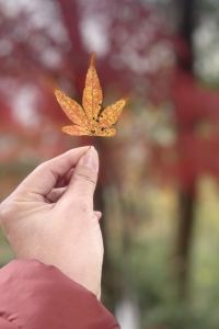 1390197**** 道後溫泉大和屋本店優惠