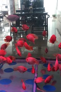 kerrybob 奈亞飯店（廣州白雲國際機場人和地鐵站店）優惠