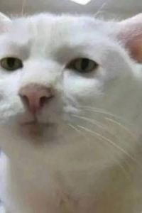 Dazhuhuaer 柏高飯店（廣州東風路省政府店）優惠