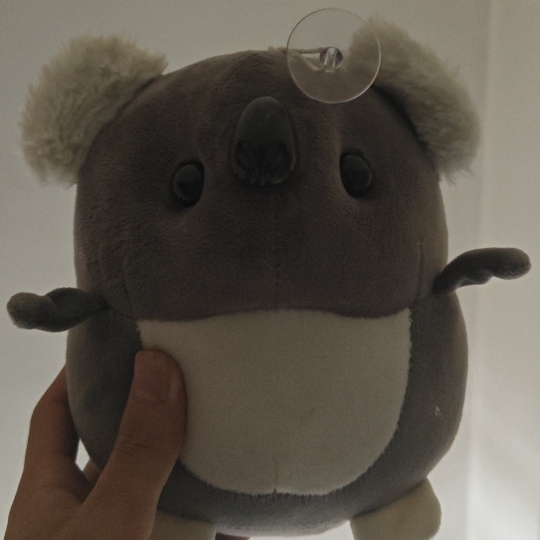 head-img