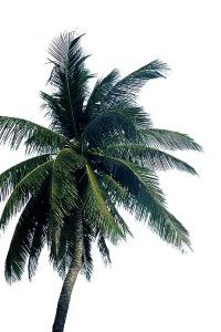 Manasiyangyong 廈門馬哥孛羅東方大飯店優惠