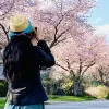 Avatar 1
