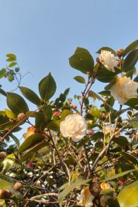 Ludanzailushang 鉑麗斯國際大飯店（威海高鐵站韓樂坊店）優惠