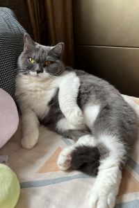 Amyrong99 松山大和ROYNET飯店優惠