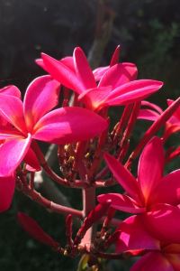 Yanxiaoyu 桂林智選假日酒店（兩江四湖東西巷店）優惠