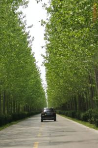 Xiaozhupapagou 蘇霍飯店優惠