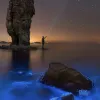 Avatar 3
