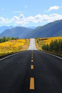 Xinranxiaowangshu 清遠桃花壹號民宿優惠