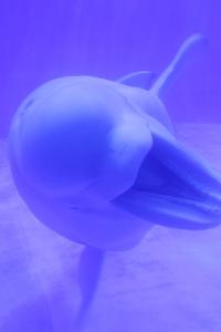 M418751**** 皇后鎮卓越公園溫德姆花園飯店優惠