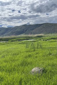 Nine2333 檳城雙威喬治市酒店 （檳城對抗新冠肺炎認證）優惠