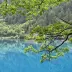 一个孤独的生活