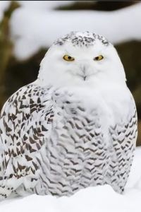 Xuedimaotouying 中山温泉賓館優惠