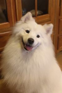 Duoduochaojiwudikeai ザ パークフロントホテル アット ユニバーサル・スタジオ・ジャパン クーポン