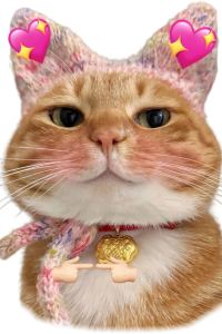 Sinersi 你好飯店（橫店影視城步行街店）優惠