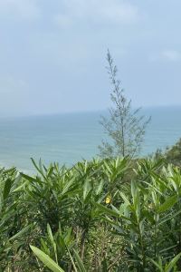 🌸wumingxiaocao 多米飯店-三島天然溫泉優惠