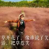 Avatar 1