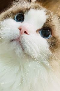 M43282**** 香港灣仔帝盛酒店優惠