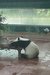 Yuguotianqingkaixinmeiyitian 費拉安那翰飯店 - 逸林飯店優惠