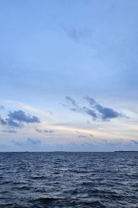 Chenchenchen5531 非斯尼甘宮萬豪酒店&度假村優惠