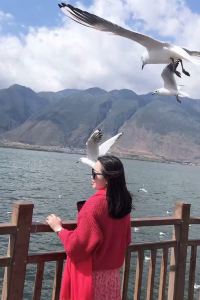 M247398**** 捨得棧民宿（佛山順德清暉園店）優惠