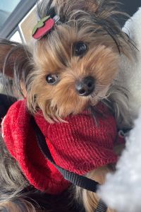 Jiayu JR九州ステーションホテル小倉 クーポン