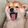 user-icon