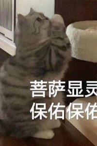 Pusabaoyoupingpinganandeyouzi ISEYA世野·高空飯店（太古裡旗艦店）優惠