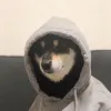 Avatar 3