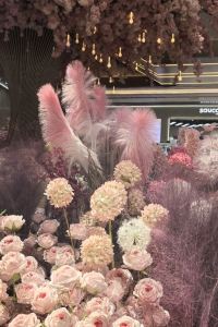 訪客用戶 峇裡島磐石飯店優惠