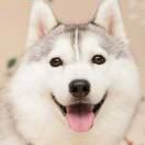 Benben2050 宜必思飯店（瀋陽火車站太原街店）優惠