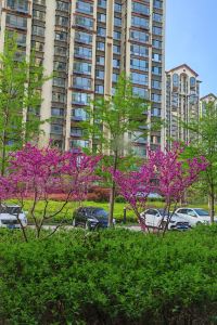 sunny イビススタイルズ東京ベイ クーポン