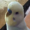 Avatar 2