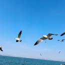 Wokeaidenuonuobaobao