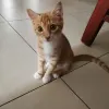 Avatar 2