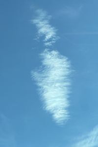 Kasaxiaorun 華盛頓杜勒斯國際機場萬豪酒店優惠