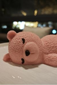 Zhuyangyang 薩爾茨堡市NH精選飯店優惠